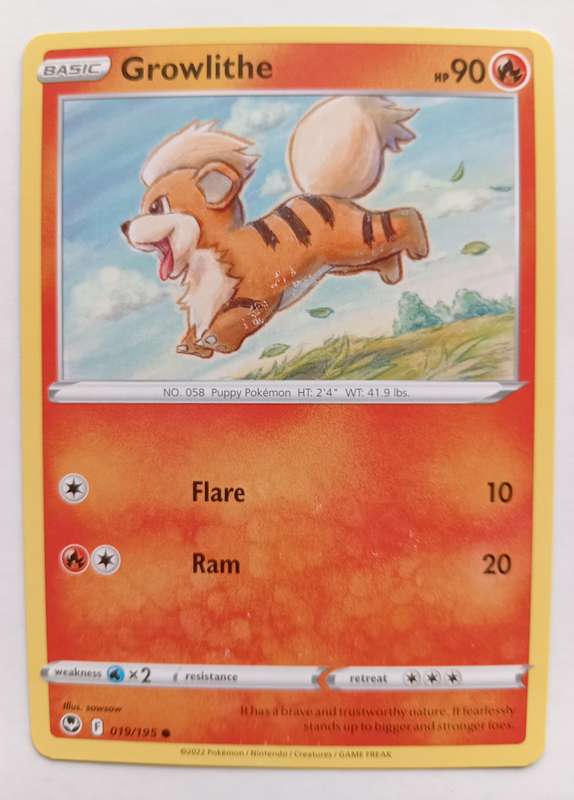 POKEMON CARD -  GROWLITHE  19/195 SILVER TEMPEST COMMON CARD - MINT
