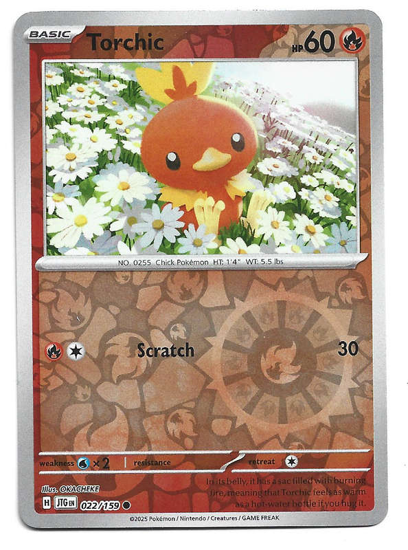 TORCHIC - REVERSE HOLO  22/159 POKEMON TCG JOURNEY TOGETHER TRADING CARD