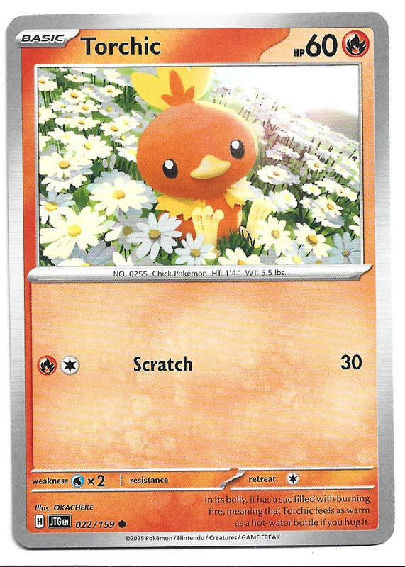 TORCHIC - COMMON  22/159 POKEMON TCG JOURNEY TOGETHER TRADING CARD