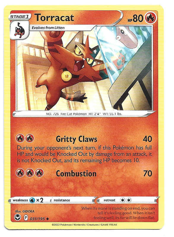 TORRACAT - COMMON  31/195  POKEMON TCG SILVER TEMPEST TRADING CARD