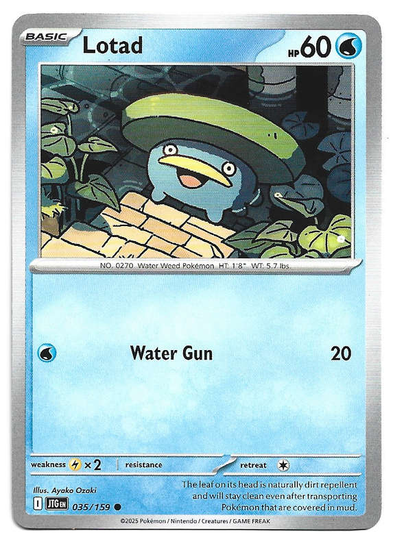 LOTAD - COMMON  35/159 POKEMON TCG JOURNEY TOGETHER TRADING CARD