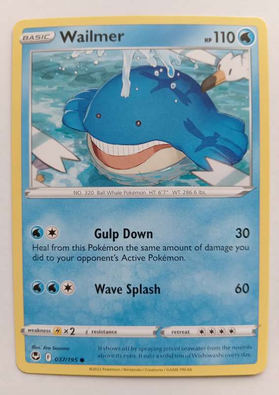 POKEMON CARD -  WAILMER  37/195 SILVER TEMPEST COMMON CARD - MINT