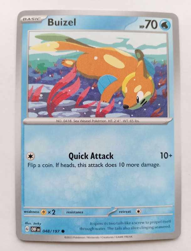 POKEMON CARD - BUIZEL  48/197 COMMON OBSIDIAN FLAMES 2023 - MINT