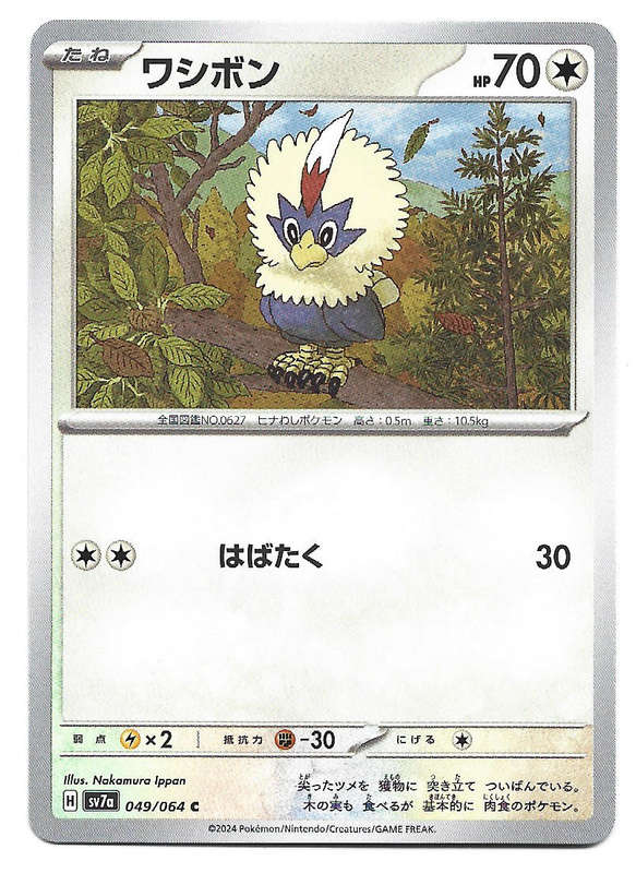RUFFLET - COMMON  49/64 POKEMON TCG PARADISE DRAGONA TRADING CARD (Japanese)