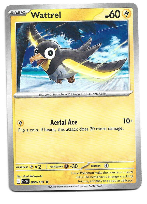 WATTREL  - COMMON  66/191 POKEMON TCG SURGING SPARKS TRADING CARD