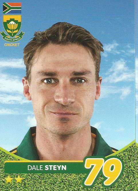 DALE STEYN - 2014 BIG BALL `HEROES COLLECTION` - `ODI CRICKET` BASE CARD 70