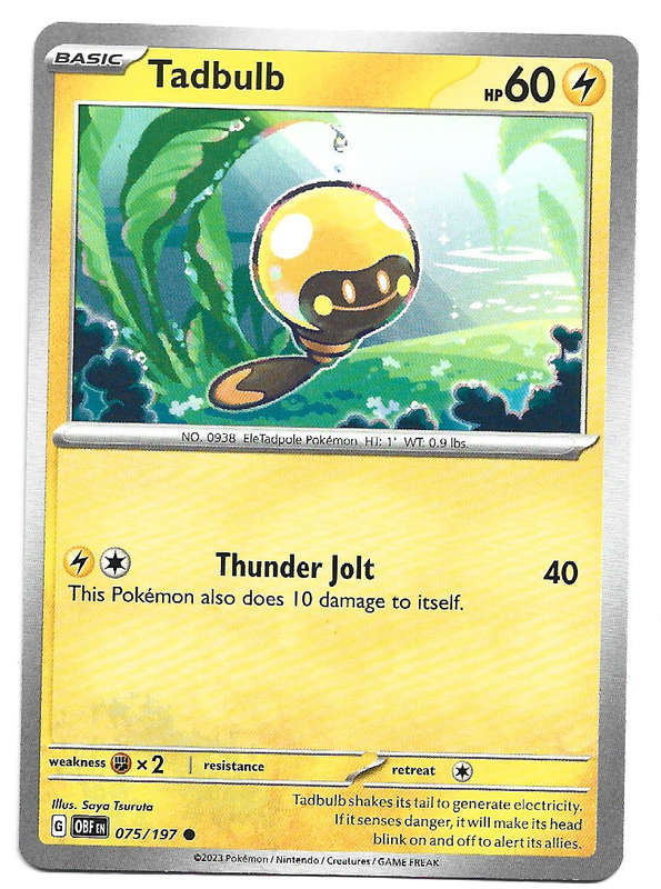 TADBULB -   POKEMON TCG OBSIDIAN FLAMES COMMON  75/197 TRADING CARD