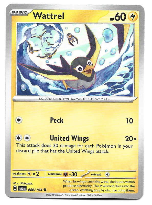 POKEMON CARD - WATTREL  80/193 COMMON PALDEA EVOLVED 2023 TRADING CARD - MINT