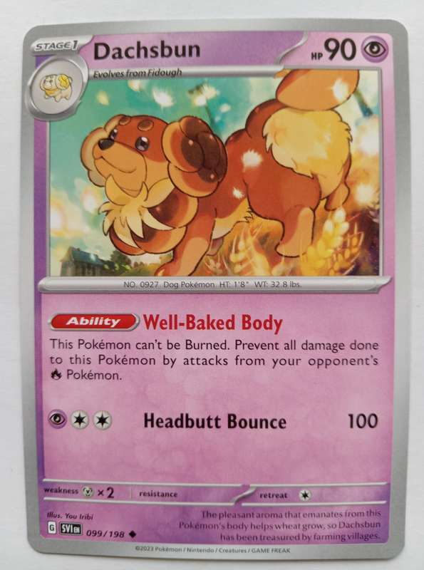 DACHSBUN - POKEMON SCARLET & VIOLET 2023  - COMMON TRADING CARD 99/198 - MINT