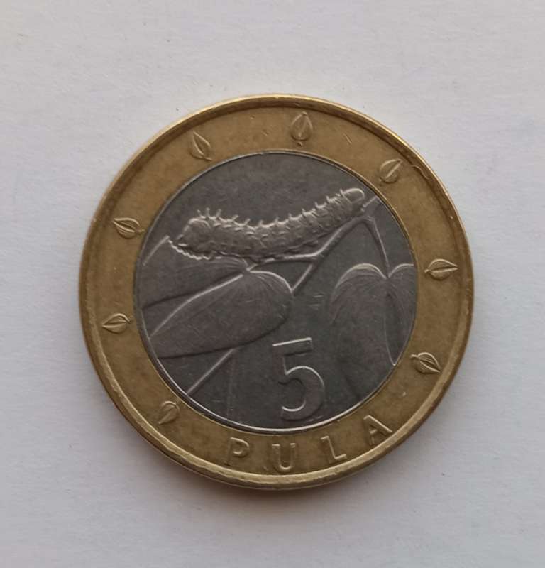 BOTSWANA  - 5 PULA Bi-Metal Coin 2000 - CIRCULATED COIN