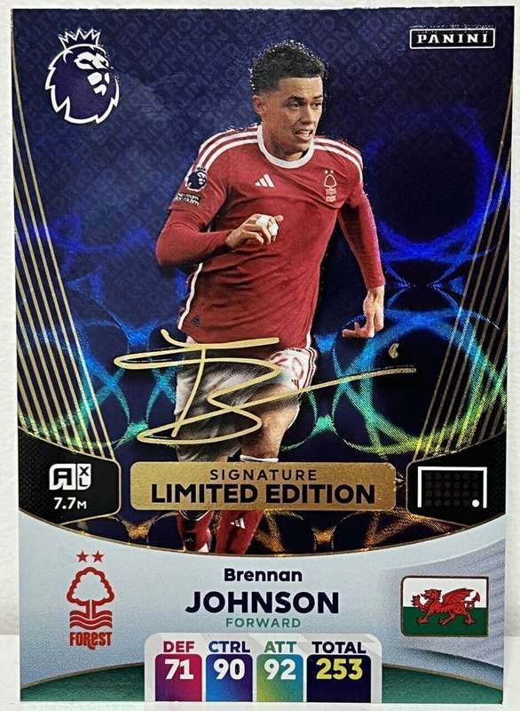 BRENNAN JOHNSON - PANINI English Premier League 2023/24 - RARE `SIGNATURE LIMITED EDITION` CARD