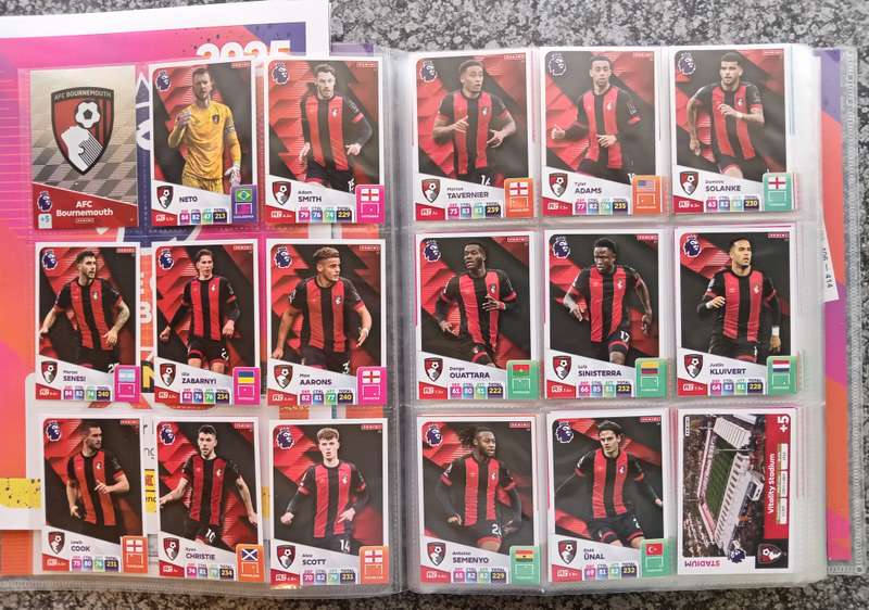 PANINI English Premier League 2024/2025 -  COMPLETE 459 TRADING CARD COLLECTION - NO Golden Ballers
