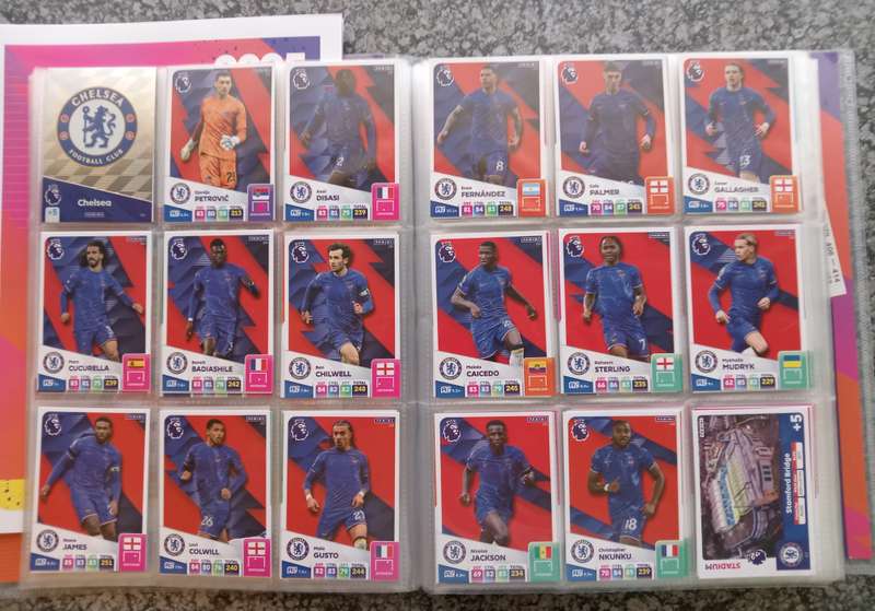 PANINI English Premier League 2024/2025 -  COMPLETE 459 TRADING CARD COLLECTION - NO Golden Ballers