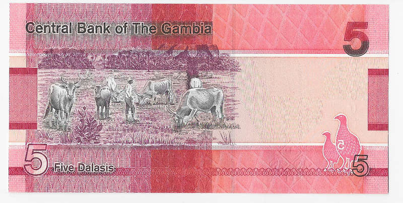 CENTRAL BANK of GAMBIA  - 5 DALASIS BANK NOTE 2010/17 - NOTE in UNC. CONDITION