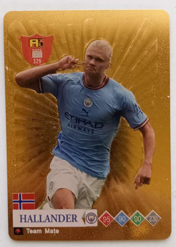 ERLING HAALAND - WORLD STARS 2025 COLLECTION - GOLD TRADING CARD