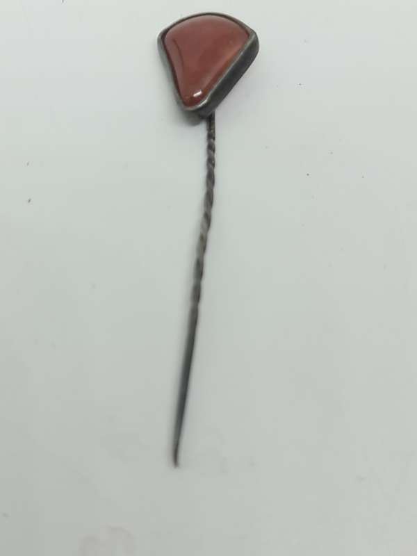 Jasper set in silver Tone pin