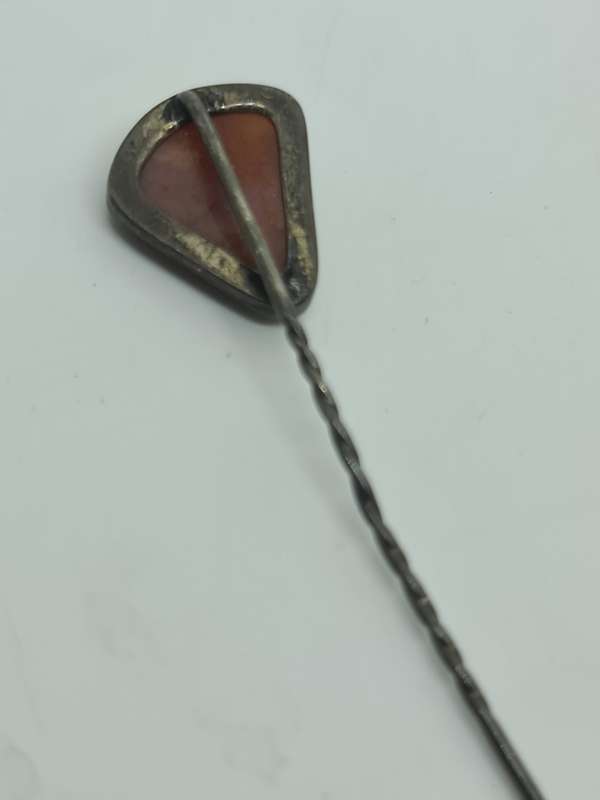 Jasper set in silver Tone pin