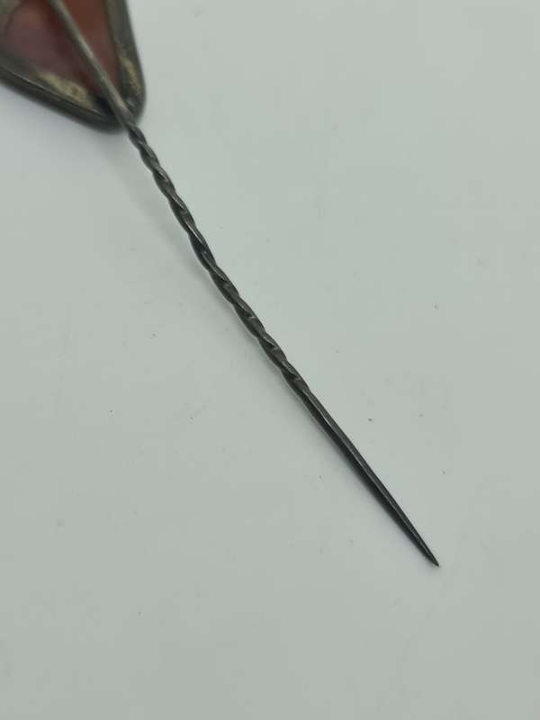 Jasper set in silver Tone pin