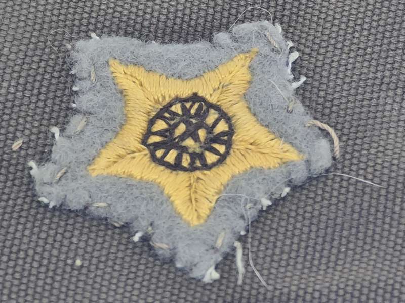 SS Army Rank Star slip on