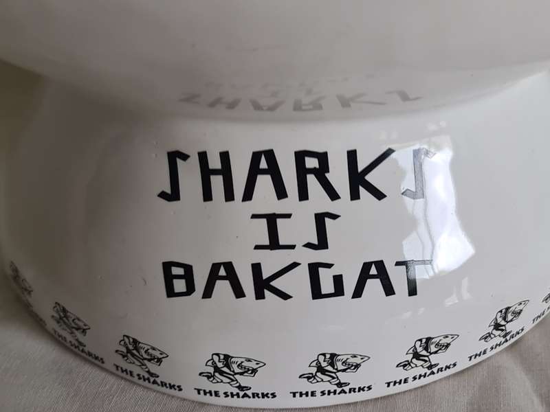 "Sharks is Bakgat" clock