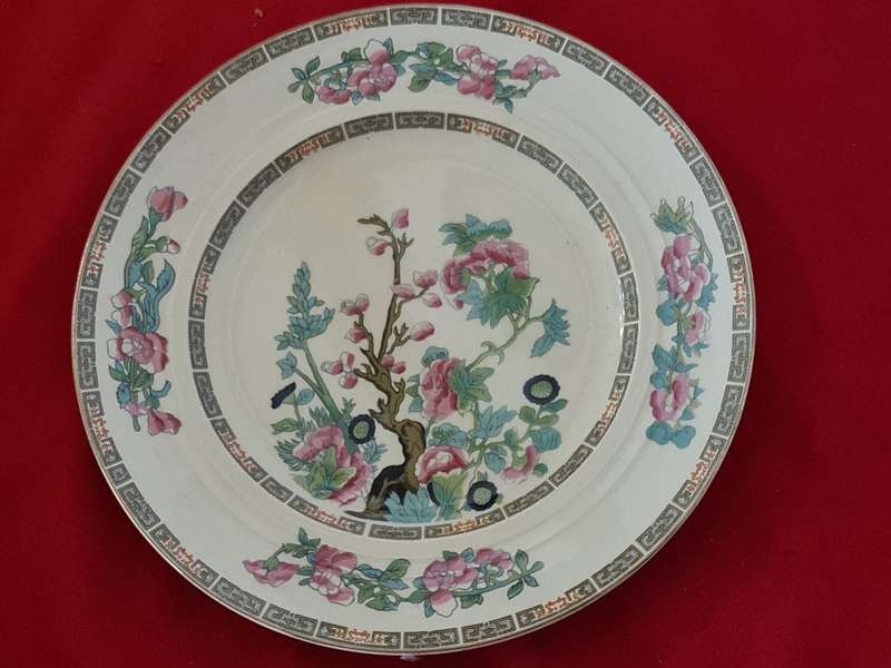 New Hall Hanley, Staffordshire England Dinner Plates