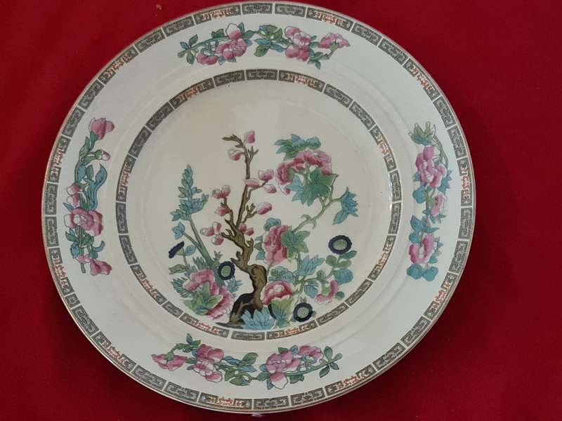 New Hall Hanley, Staffordshire England Dinner Plates