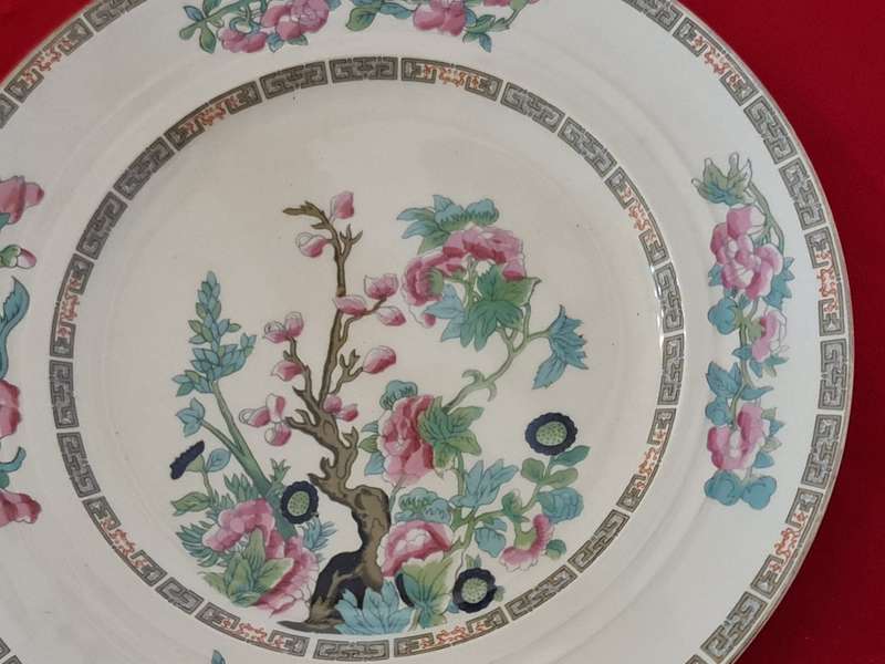 New Hall Hanley, Staffordshire England Dinner Plates