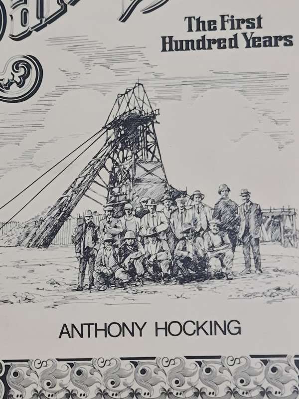 Randfontein Estate, The First 100 years by Anthony Hocking