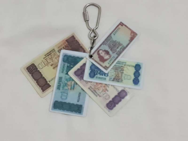 Vintage Keyring of RSA notes