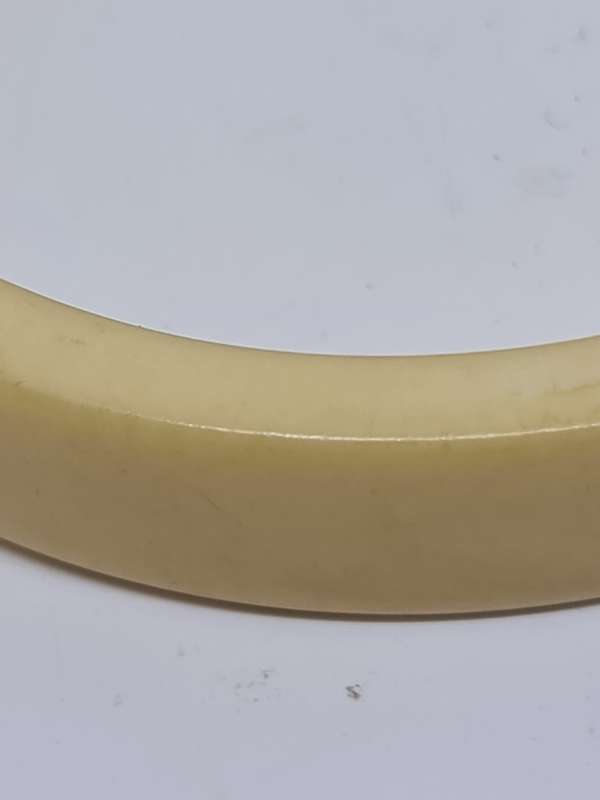 Vintage Bone Bangle