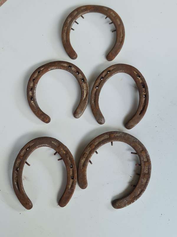 X5 Vintage Rustic Horseshoes