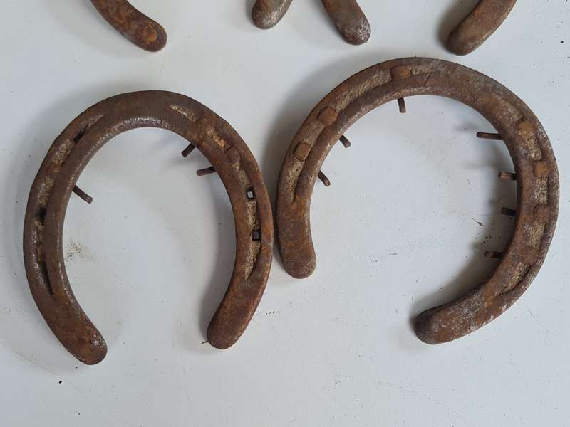 X5 Vintage Rustic Horseshoes