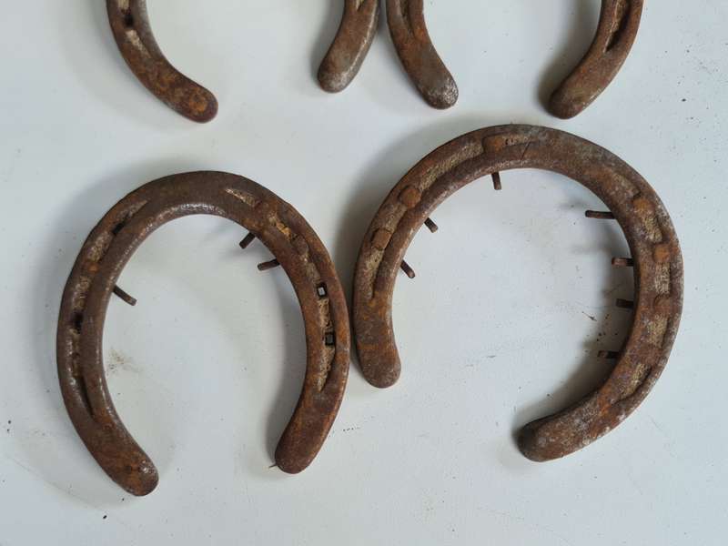 X5 Vintage Rustic Horseshoes