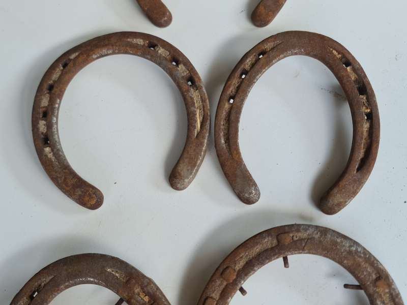 X5 Vintage Rustic Horseshoes