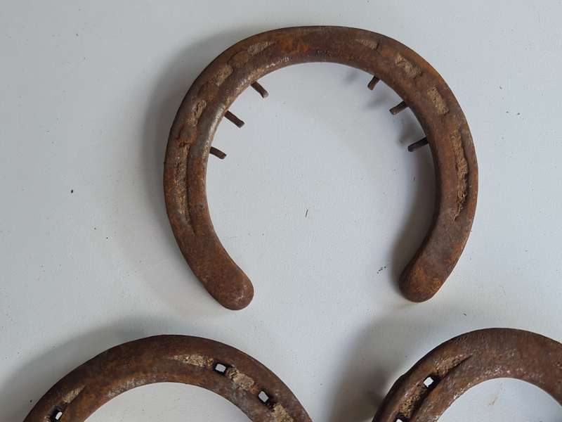 X5 Vintage Rustic Horseshoes