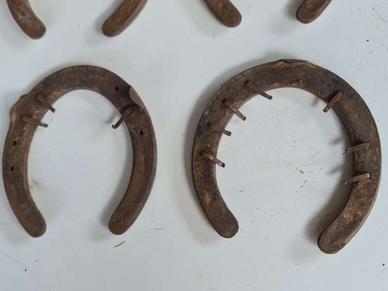 X5 Vintage Rustic Horseshoes
