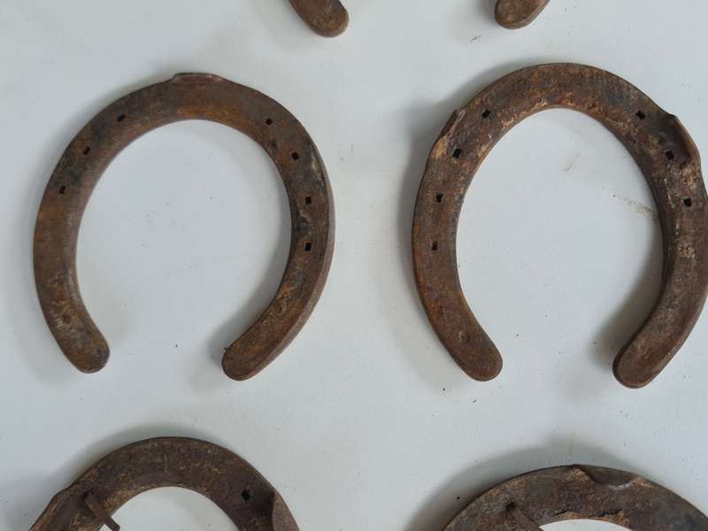 X5 Vintage Rustic Horseshoes