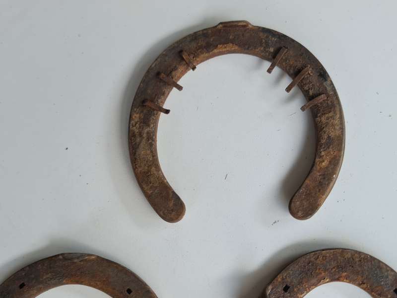 X5 Vintage Rustic Horseshoes