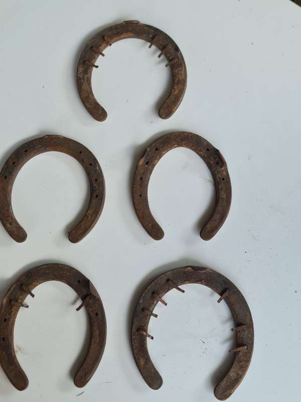 X5 Vintage Rustic Horseshoes