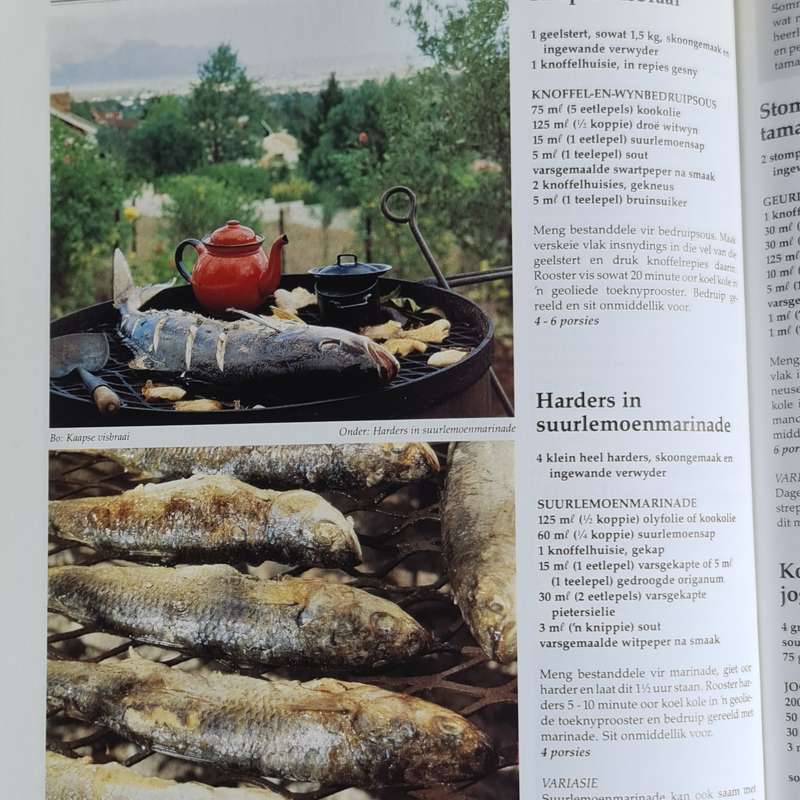 Beste Suid Afrikaanse Braai Resepte Boek