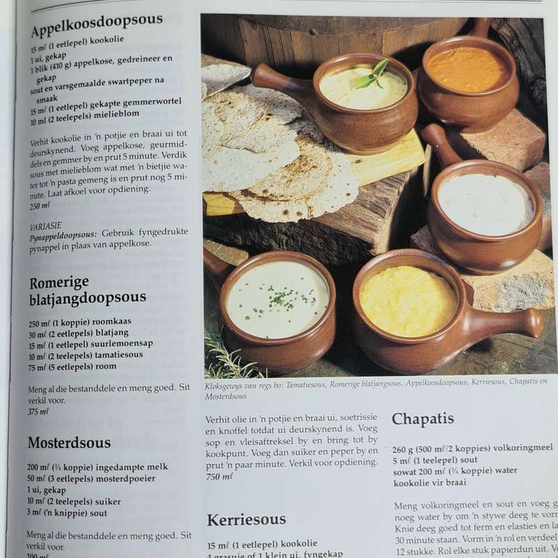 Beste Suid Afrikaanse Braai Resepte Boek