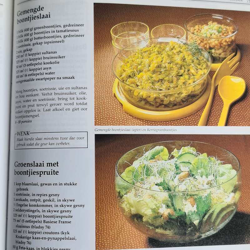 Beste Suid Afrikaanse Braai Resepte Boek