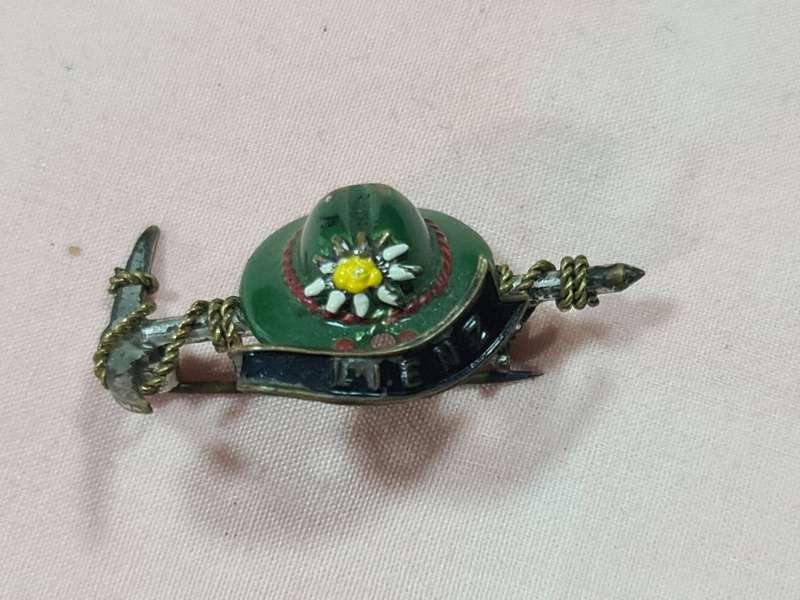 Lienz Austria Brooch