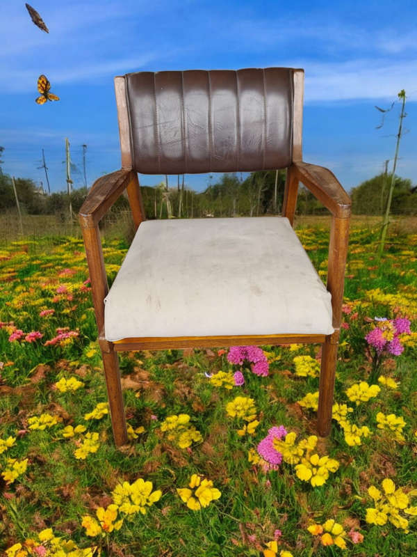 Retro arm chair