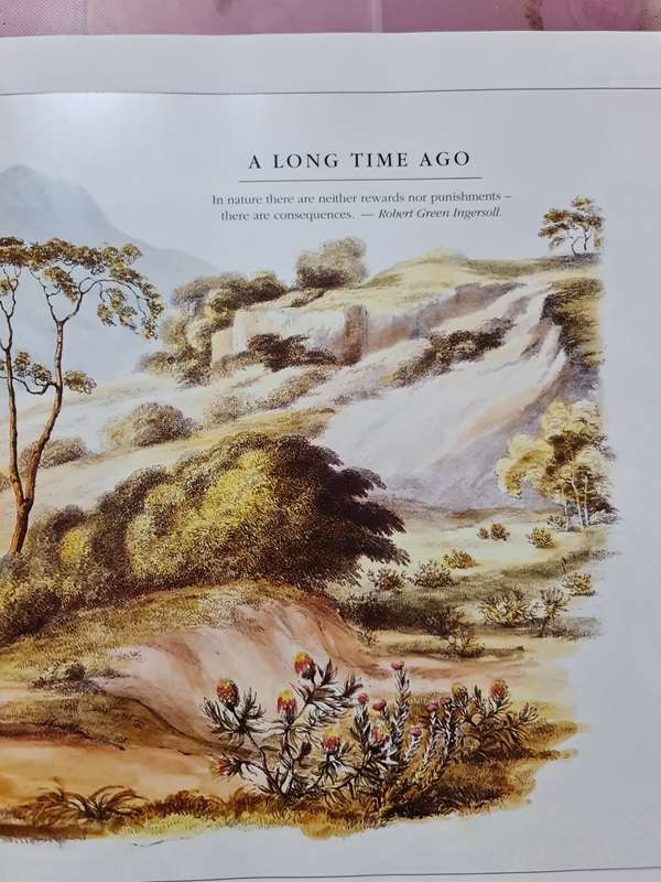Book: I Speak of Africa, Shan Varty and Molly Buchanan
