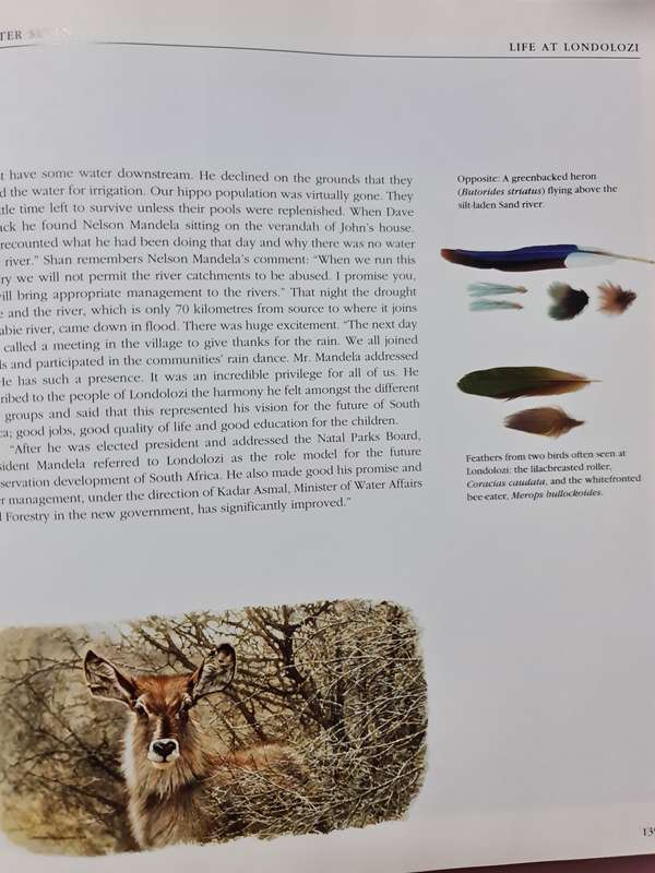 Book: I Speak of Africa, Shan Varty and Molly Buchanan