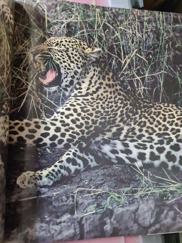 Book: The Leopards of Londolozi