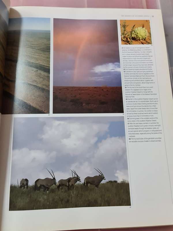 Book: The Living Deserts of Southern Africa, Barry Lovegrove