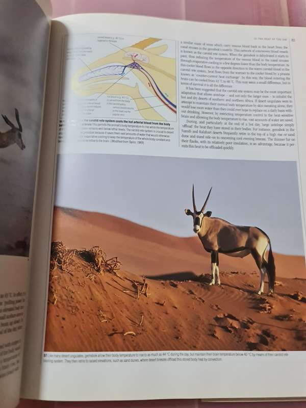 Book: The Living Deserts of Southern Africa, Barry Lovegrove
