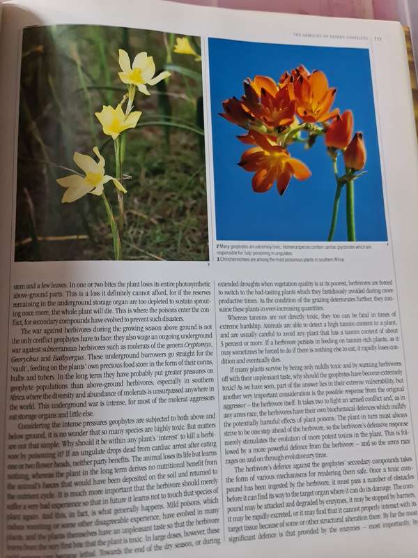 Book: The Living Deserts of Southern Africa, Barry Lovegrove